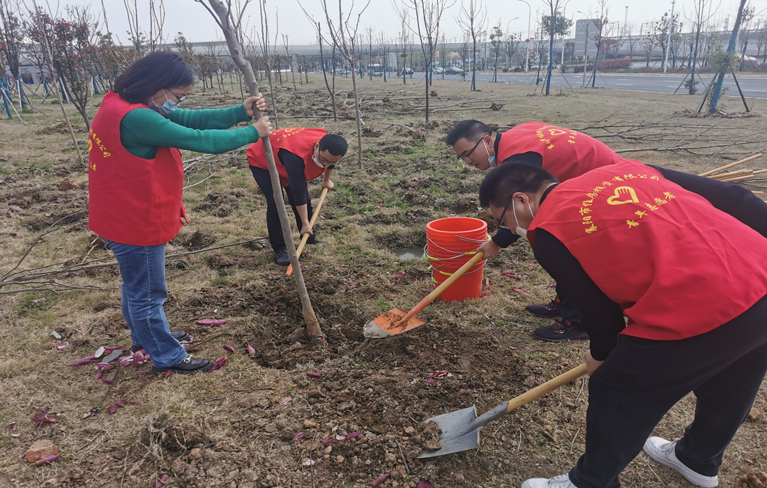 4.不负好春光.jpg 4.不负好春光.jpg