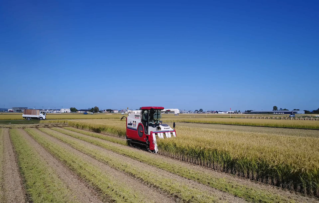 微信图片_20211018104142.jpg 微信图片_20211018104142.jpg