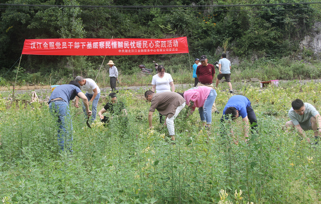 3.党员们下地割草.jpg 3.党员们下地割草.jpg