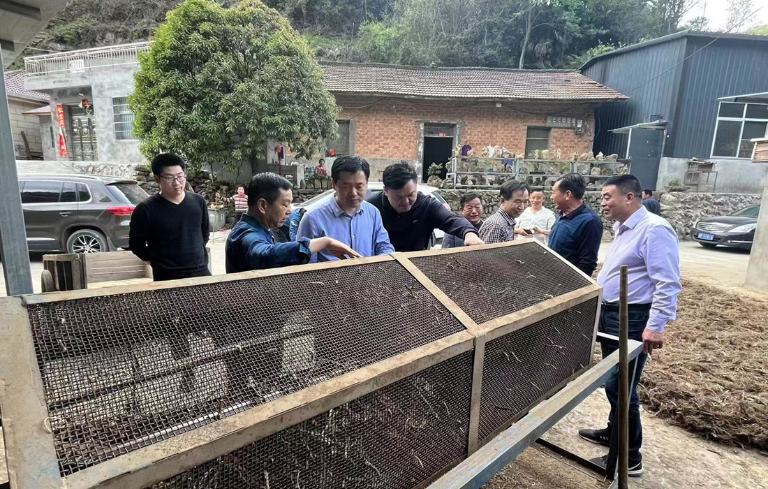 微信图片_20230420103247.jpg