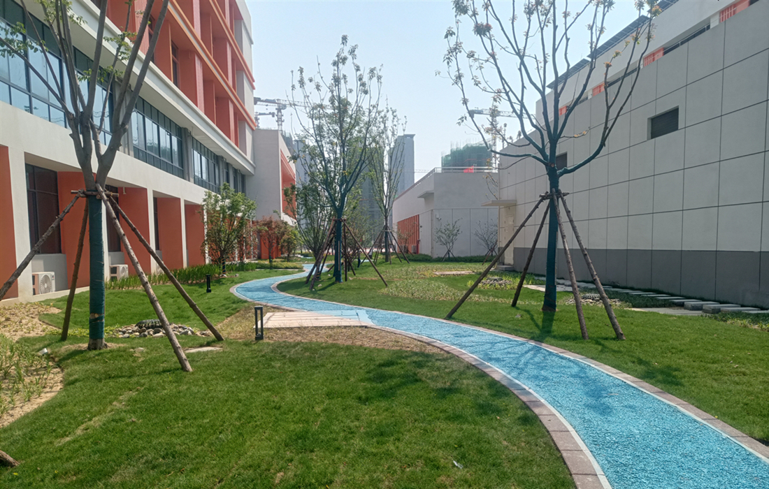 附件3:望城中小学项目海绵城市照片.jpg 附件3:望城中小学项目海绵城市照片.jpg